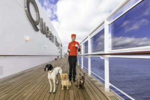 Cruceros de lujo con mascotas: todo lo que necesitas saber