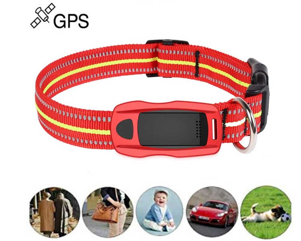 GPS para perros Hangang Mini