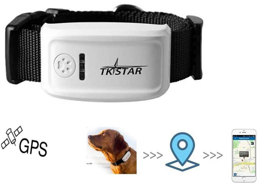 GPS para perros MUXAN