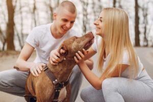 Mejores lugares y planes en Gandía para ligar paseando al perro