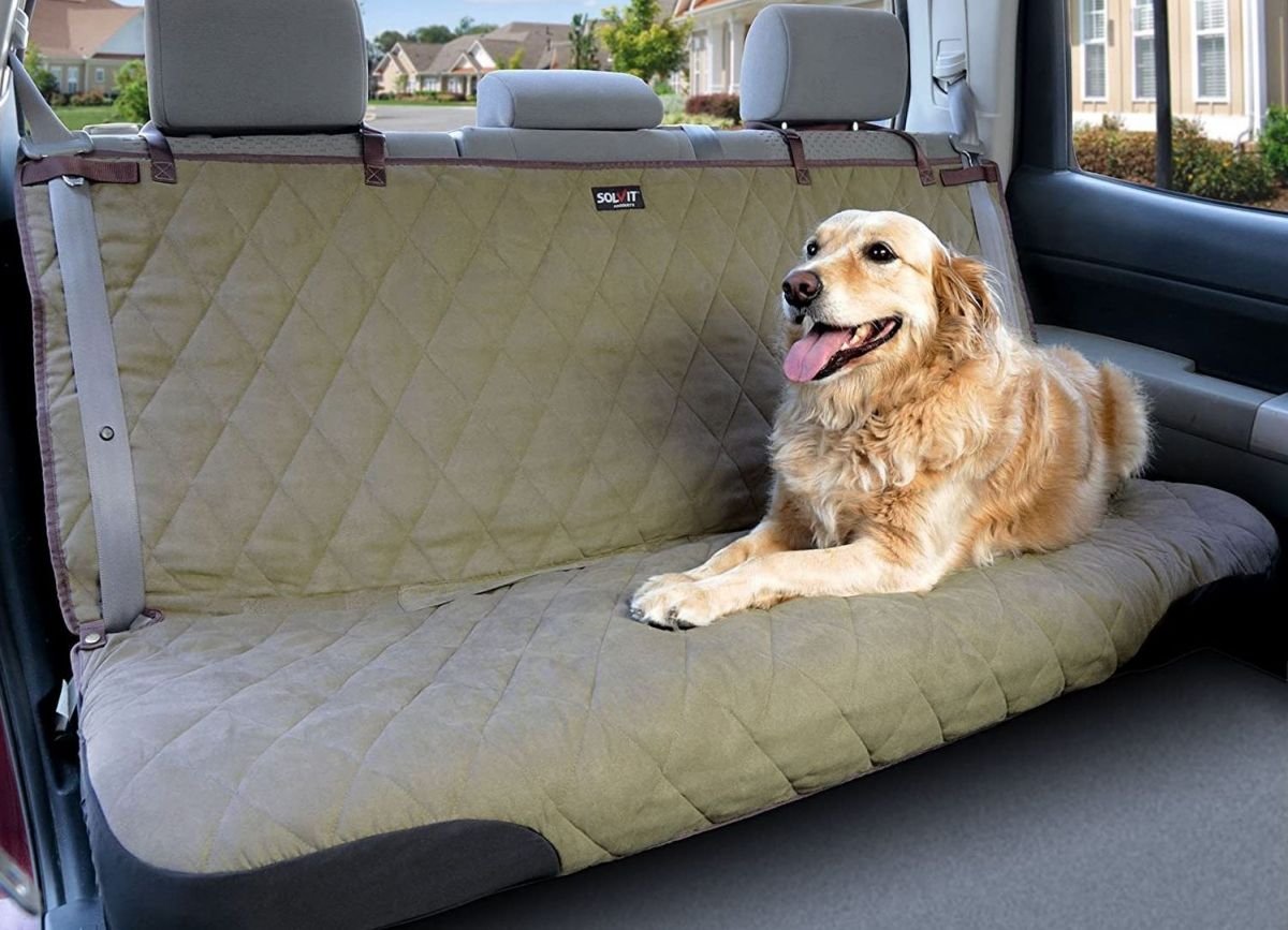 Las 10 Mejores Fundas De Coche Para Perros ZooMascotas Com   Las 10 Mejores Fundas De Coche Para Perros 