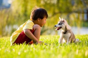 Las 11 mejores perros para niños